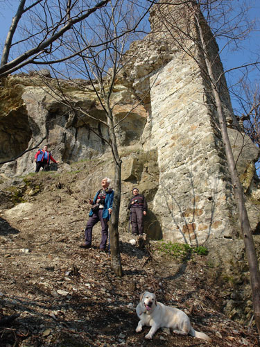 Foto sic transit gloria mundi (c) Petru Goja